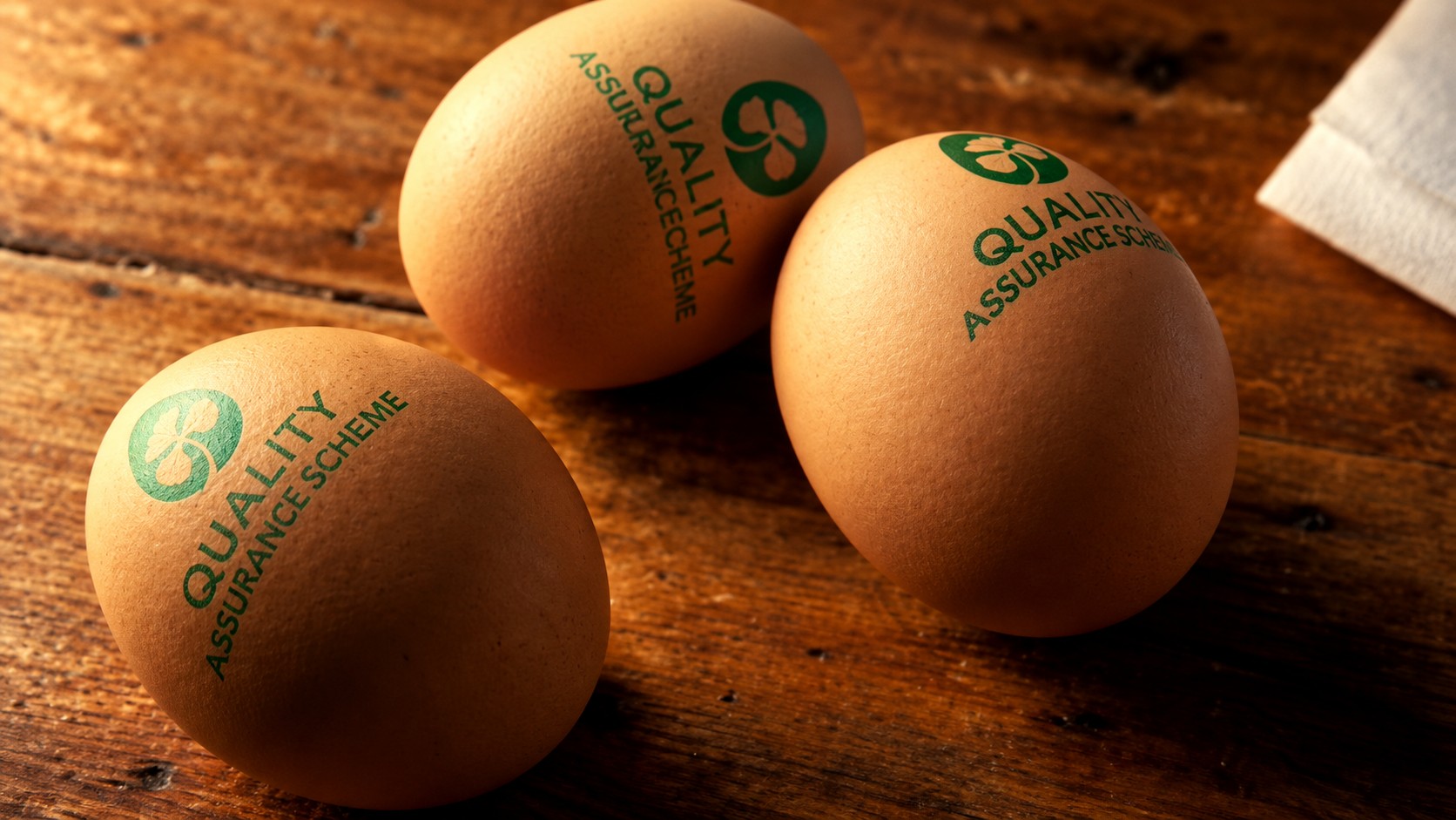 Bord Bia Eggs